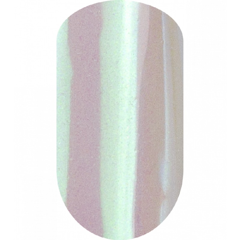 Втирка DRAGONFLY, TM IVA nails (№3)