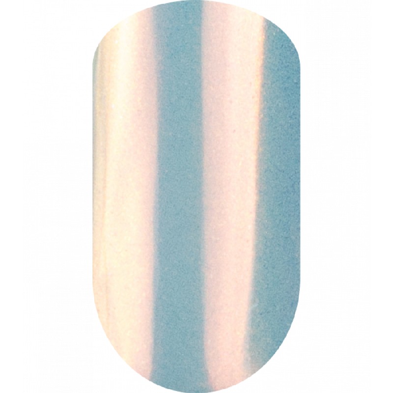 Втирка DRAGONFLY, TM IVA nails (№4)